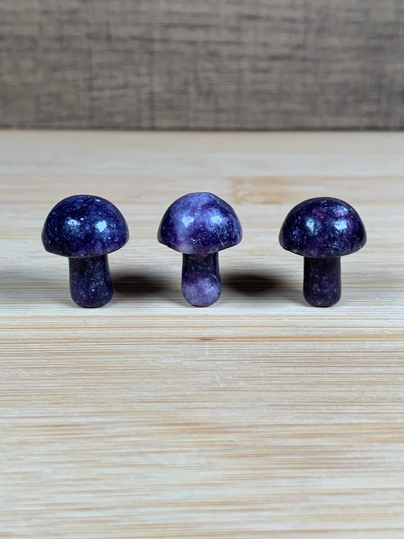 K&ouml;nnte beinhalten: Drei kleine, violette Pilzfiguren mit abgerundeten Kappen und schlanken Stielen. Die Pilze sind in einer Reihe angeordnet, jeder mit einem leicht unterschiedlichen Violettton. Der Hintergrund ist eine hellbraune Holzoberfl&auml;che.