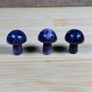 K&ouml;nnte beinhalten: Drei kleine, polierte Pilzfiguren. Jeder Pilz hat einen abgerundeten Hut und einen schlanken Stiel. Die Kappen sind tiefviolett und gesprenkelt, die Stiele sind heller. Die Pilze sind auf einer hellen Holzoberfl&auml;che angeordnet.