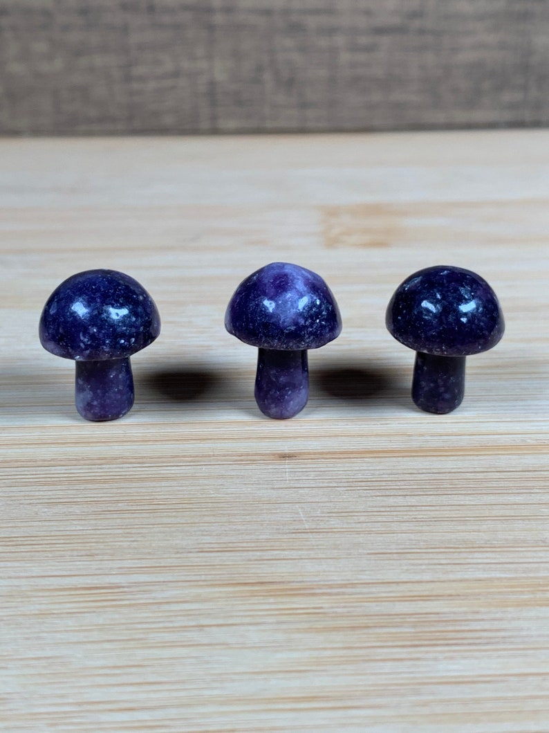 K&ouml;nnte beinhalten: Drei kleine, polierte Pilzfiguren. Jeder Pilz hat einen abgerundeten Hut und einen schlanken Stiel. Die Kappen sind tiefviolett und gesprenkelt, die Stiele sind heller. Die Pilze sind auf einer hellen Holzoberfl&auml;che angeordnet.