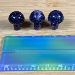 K&ouml;nnte beinhalten: Drei kleine, polierte Pilzfiguren mit tiefvioletten Kappen und Stielen. Die Pilze sind in einer Reihe auf einer hellen Holzoberfl&auml;che angeordnet. Ein transparentes Lineal mit blau-gr&uuml;nen Farbverl&auml;ufen befindet sich im Vordergrund.