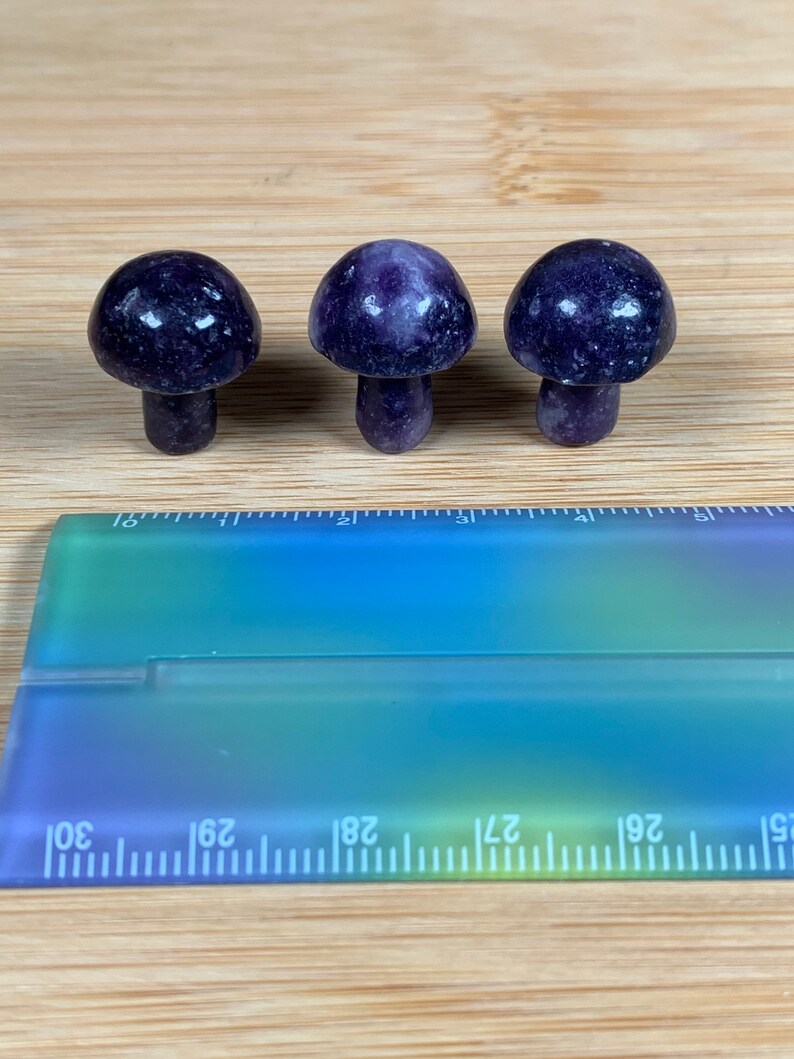 K&ouml;nnte beinhalten: Drei kleine, polierte Pilzfiguren mit tiefvioletten Kappen und Stielen. Die Pilze sind in einer Reihe auf einer hellen Holzoberfl&auml;che angeordnet. Ein transparentes Lineal mit blau-gr&uuml;nen Farbverl&auml;ufen befindet sich im Vordergrund.