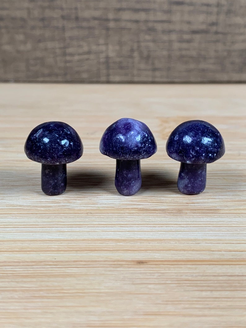K&ouml;nnte beinhalten: Drei kleine, polierte Pilzfiguren. Jeder Pilz hat eine dunkelviolette Kappe und einen passenden Stiel. Die Pilze sind in einer Reihe auf einer hellen Holzmaserung angeordnet. Der Hintergrund ist verschwommen und neutral.