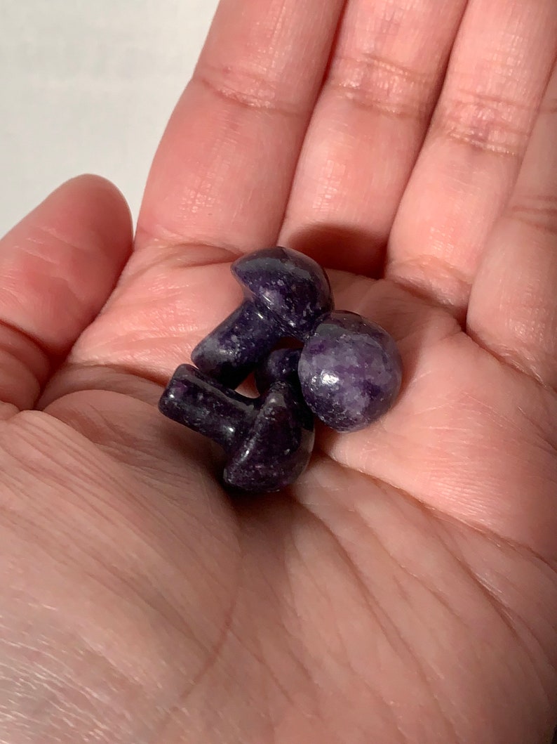 K&ouml;nnte beinhalten: Vier kleine, violette Pilzfiguren mit gesprenkelter Textur werden in einer offenen Hand gehalten. Die Pilze haben abgerundete Kappen und kurze Stiele. Die Farbe ist ein tiefes, sattes Violett.