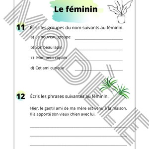 May include: A worksheet with the title "Le f&eacute;minin" in green and blue text. The worksheet has two sections, one titled "&Eacute;cris les groupes du nom suivants au f&eacute;minin" and the other titled "&Eacute;cris les phrases suivantes au f&eacute;minin".