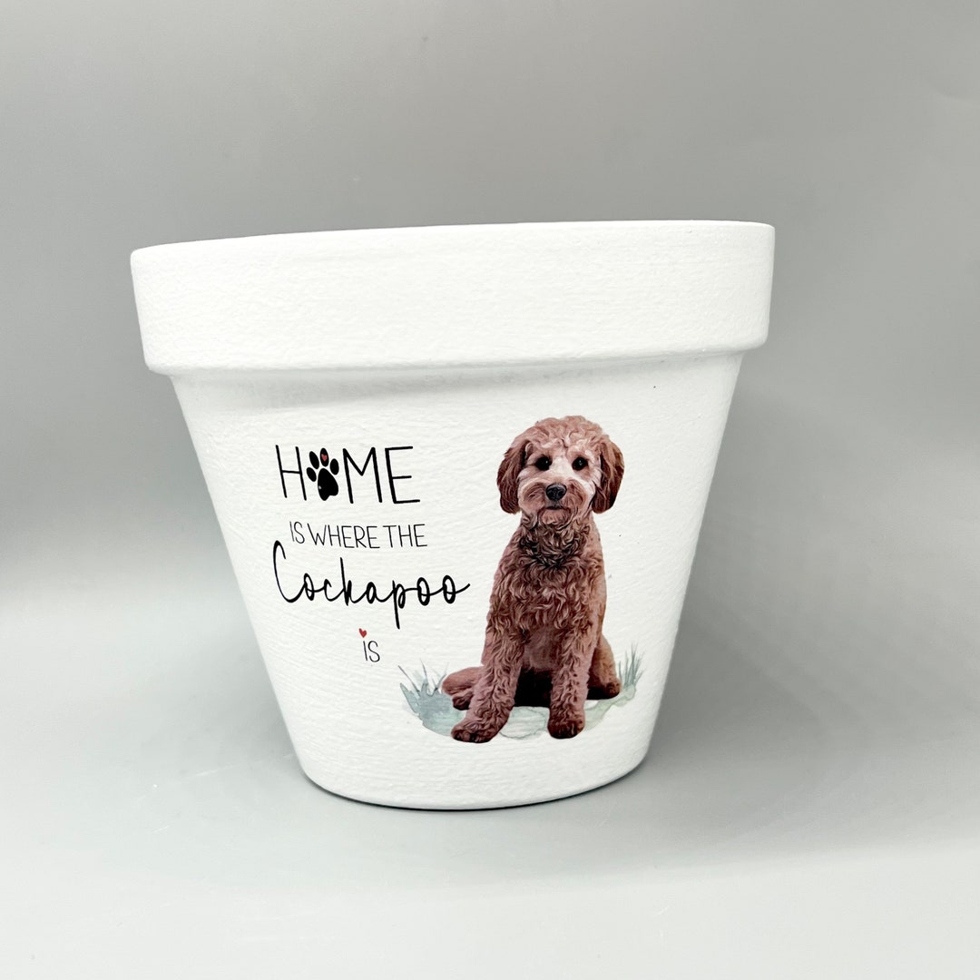 Personalised Cockapoo Plant Pot Gift. Birthday Housewarming Etsy