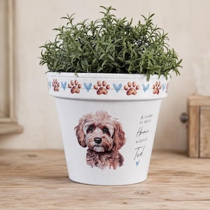 May include: A white ceramic flower pot containing a green plant. The pot features a repeating border of blue hearts and brown paw prints. A portrait of a brown dog is printed on the front with the text, A house is not a Home without Ted.