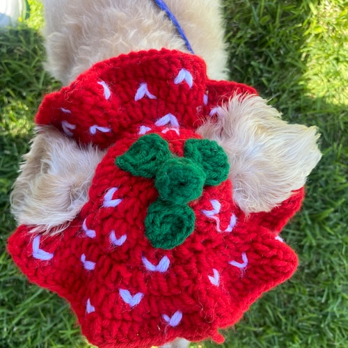 Cute Crochet Strawberry Dog Hat Etsy