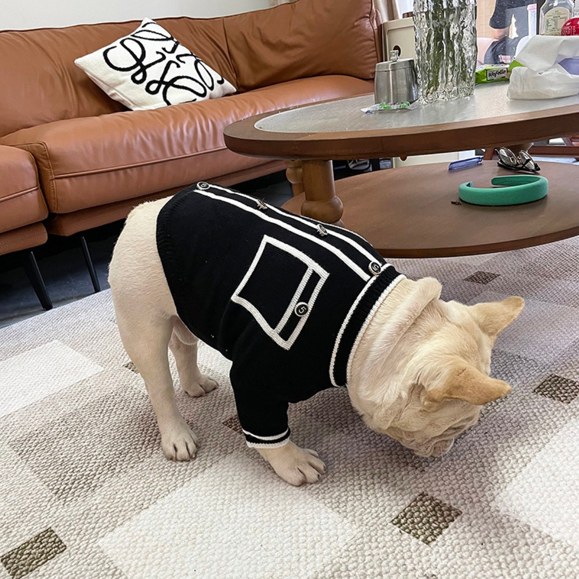 chanel sweater for dogs
