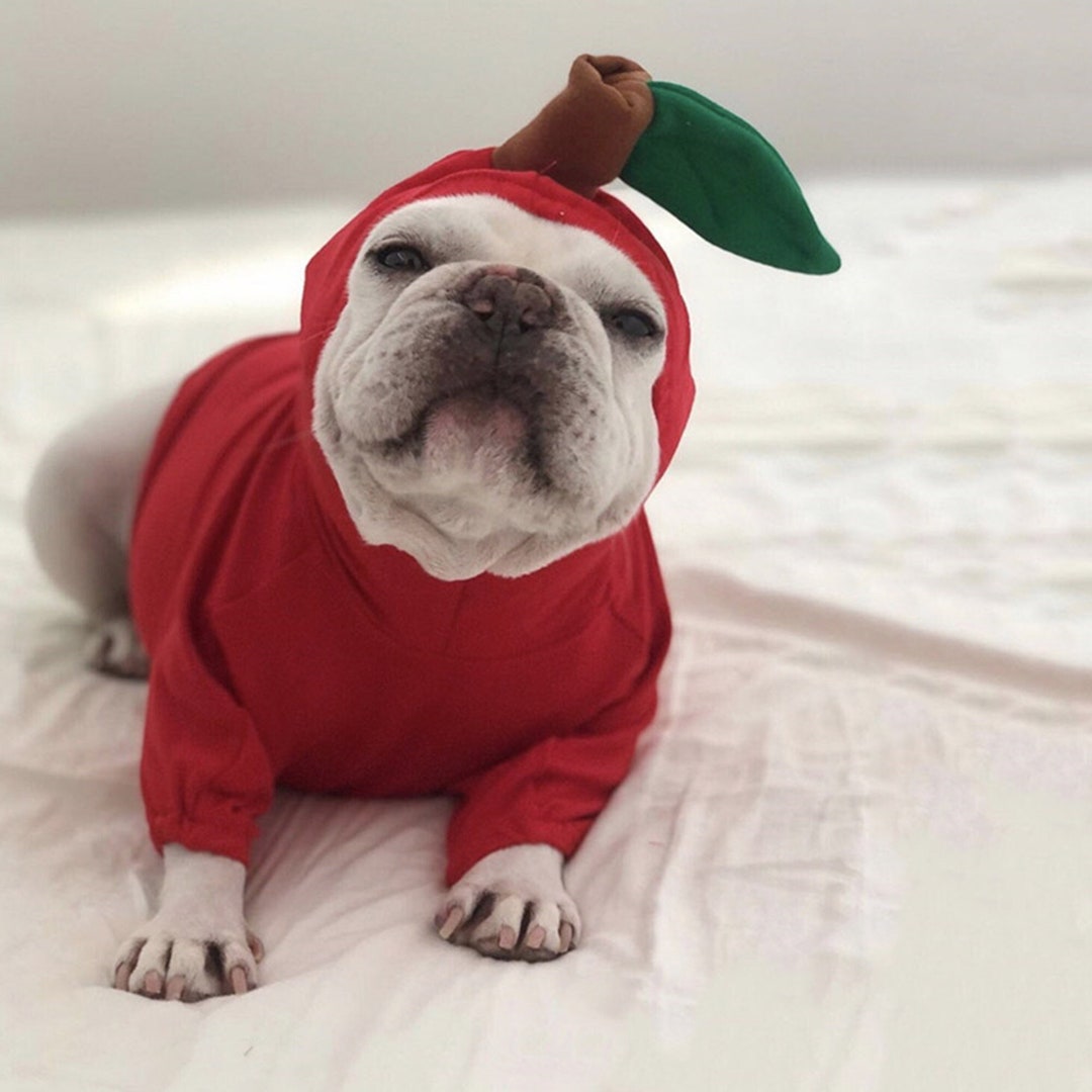 Funny Dog Clothes cozy Dog Hoodie dog Jacket Etsy