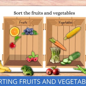 Sorting Fruits and Vegetables, Busy Binder Printable, Toddler Busy Book, Matching Activity, Learning Binder Pages, Educational Activity