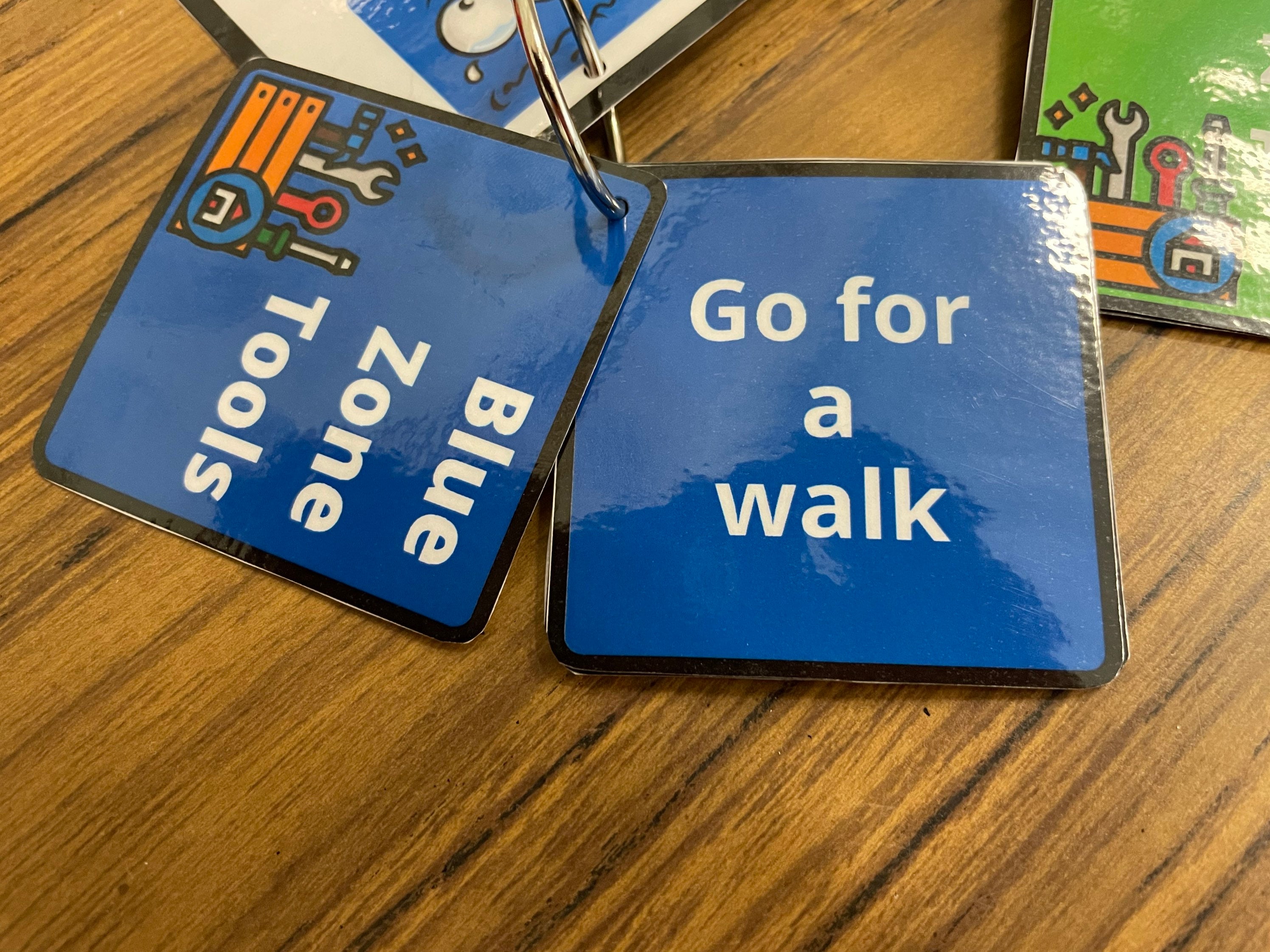 Self-regulation Zone Strategy Cards Understanding Your Zones - Etsy UK