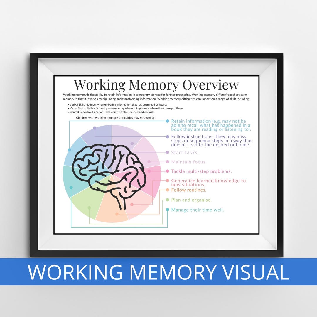 Working Memory Visual, Therapeutic Aids, Executive Functioning Coping ...