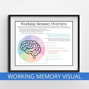 Puede incluir: Una impresión enmarcada titulada "Working Memory Overview" con un diagrama de un cerebro y texto que explica la memoria de trabajo y sus desafíos. La impresión incluye el texto "WORKING MEMORY VISUAL" en la parte inferior.