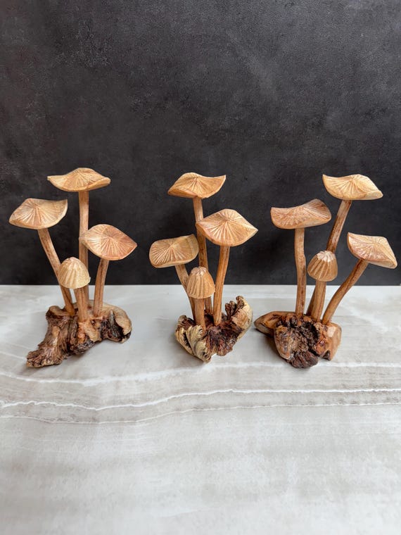 Wooden Mushroom, wooden mushroom decoration, decorative wooden mushrooms, gift, woodenmushrooms, wooden mushroom art, gifts