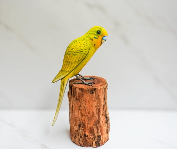 Yellow Budgie Parakeet