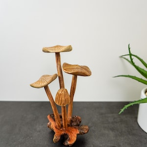 Wooden Mushroom, wooden mushroom decoration, decorative wooden mushrooms, gift, woodenmushrooms, wooden mushroom art, gifts