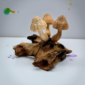 Bell wooden mushroom. Hand carved from Unique organic wood. wooden mushroom decoration, decorative wooden mushrooms, gift, woodenmushrooms,