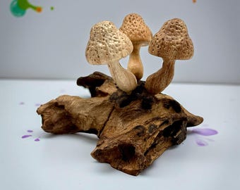 Hand Carved Wooden Mushroom Sculpture: Organic Wood Decoration