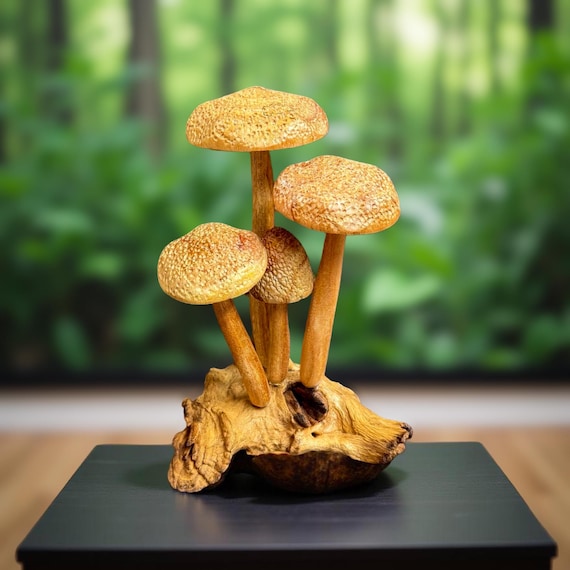 Forest Wooden Mushroom. wooden mushroom decoration, decorative wooden mushrooms, gift, woodenmushrooms, wooden mushroom art, gifts