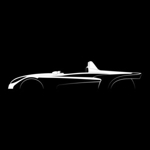 207 Spider Silhouette Vector File