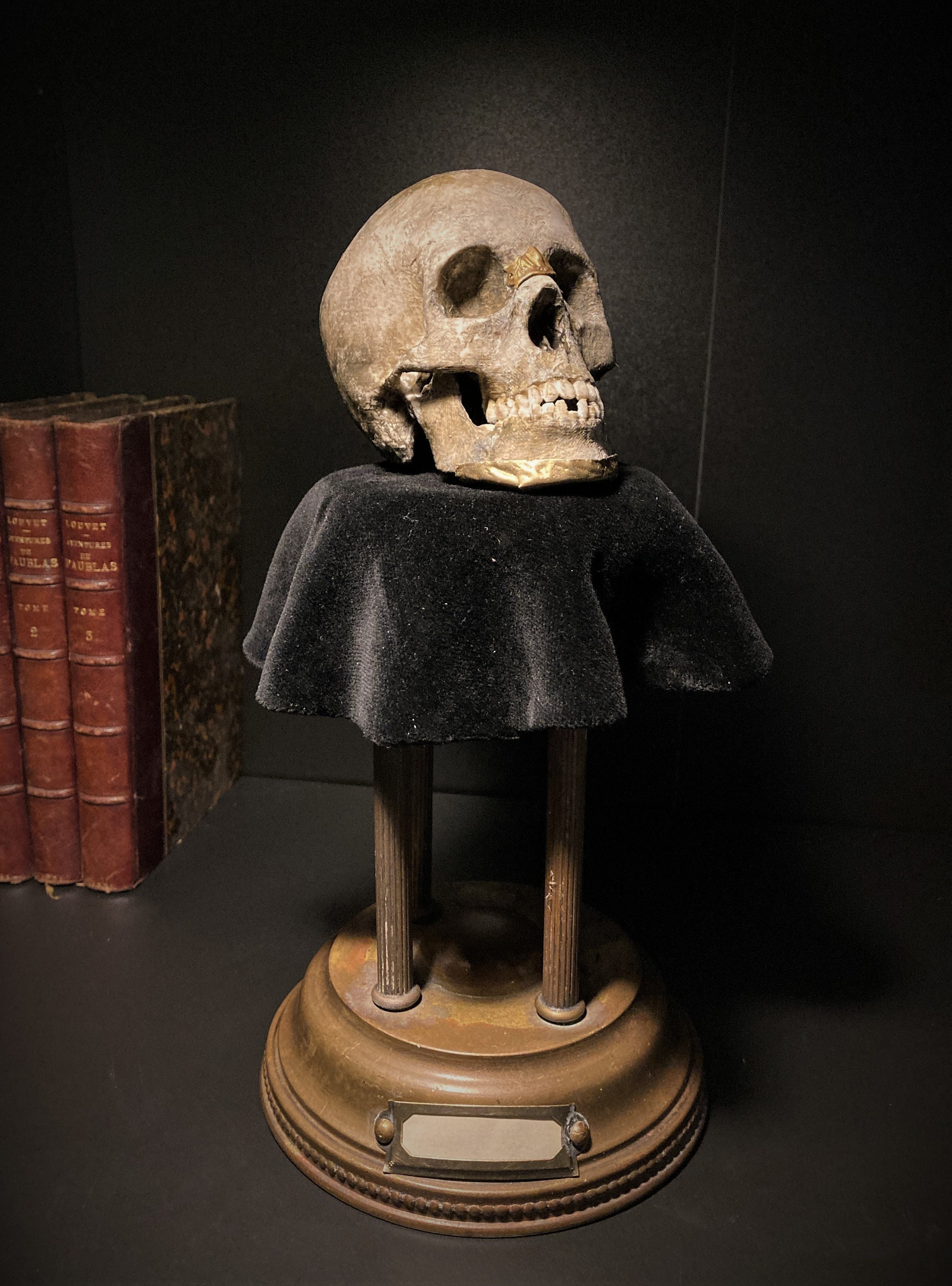 Réplique de Crâne Antique sur Socle en Laiton Cabinet Curiosité