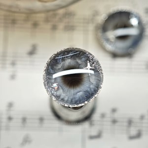 Può includere: Primo piano di una coppia di occhi di vetro grigi e argentati con una linea bianca attraverso l'iride. Gli occhi sono posizionati su una base argentata e sono circondati da un bordo di glitter argentato.