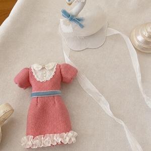 May include: A miniature pink dress with puff sleeves, a white lace collar with small pearls, and a light blue velvet waistband, paired with a white swan figurine wearing a lace bonnet and a blue velvet bow, featuring long white ribbon streamers.