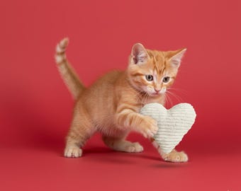 Katzenspielkissen Herz gefüllt mit Dinkelspelz und Baldrian oder Katzenminze