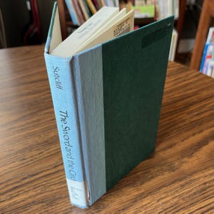 The Sword and the Circle: King Arthur and the Knights of the Round Table - Rosemary Sutcliff - Children&#39;s Arthurian Legends Chapter Book