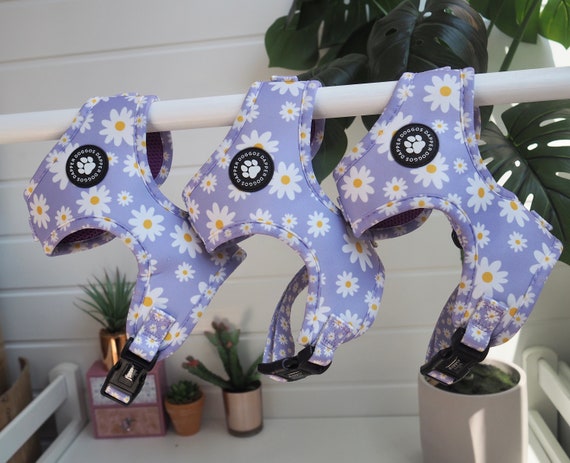 Daisy Dog Harness: Purple Padded Puppy Harness - Dapper Doggos