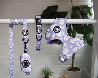 Set di pettorine per cani Purple Daisy: pettorina regolabile, collare e guinzaglio per cuccioli