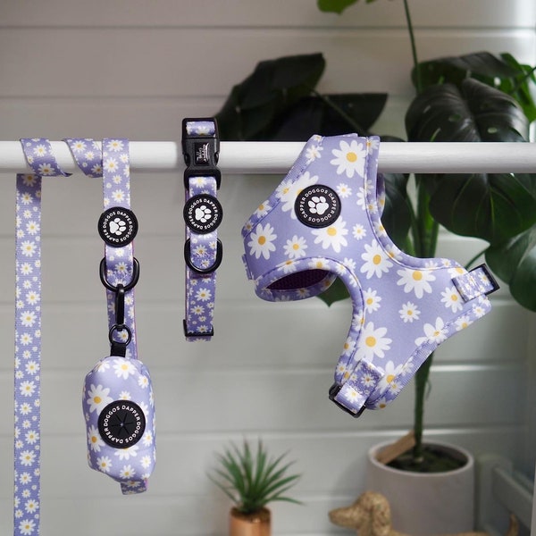 Dapper Doggos l FULL SET in Whoops a Daisy l Dog harness and lead set, puppy harness, girl dog harness, cute dog harness