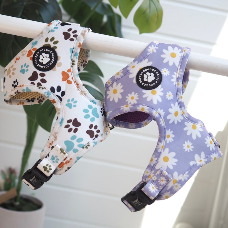 Pu&ograve; includere: Due pettorine per cani, una con un motivo a zampa di cane e l'altra con un motivo a margherita. Entrambe le pettorine sono bianche con un accento viola e presentano un logo nero che dice "Dapper Doggos".