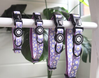 Collare per cani Daisy: Purple Floral Dapper Doggos