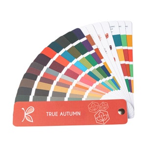 TRUE / WARM Autumn Colour Palette for Personal Colour Analysis – 12 Season System Swatch by Kelly Tavora