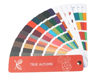 TRUE / WARM Autumn Colour Palette Fan by Kelly Tavora - Small Business