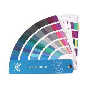 TRUE / COOL Summer Colour Palette for Personal Colour Analysis – 12 Season System Swatch by Kelly Tavora