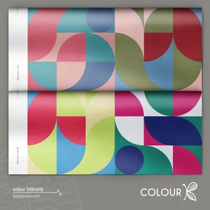 Seasonal Colour Analysis Drapes Kit: Bright vs Soft, Light vs Dark