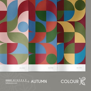 Seasonal Colour Analysis Drapes Kit: 12-Season System