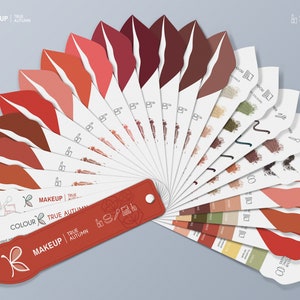 TRUE / WARM Autumn MAKEUP Colour Palette for Personal Colour Analysis – 12 Season System by Kelly Tavora