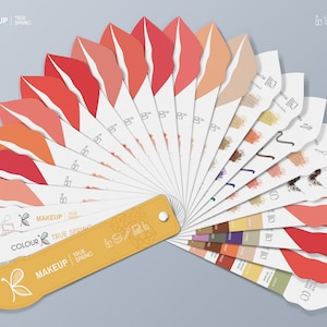 TRUE / WARM Spring MAKEUP Colour Palette for Personal Colour Analysis – 12 Season System by Kelly Tavora