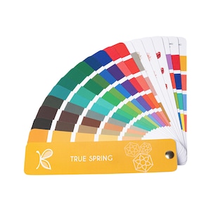 TRUE / WARM Spring Colour Palette for Personal Colour Analysis – 12 Season System Swatch by Kelly Tavora