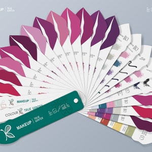 TRUE / COOL Winter MAKEUP Colour Palette for Personal Colour Analysis – 12 Season System Swatch by Kelly Tavora