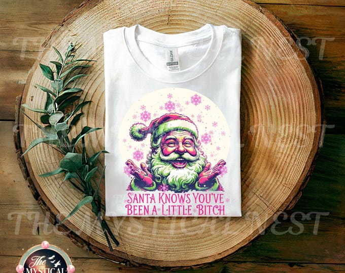 Santa Knows You've Been a Little Bitch PNG, Funny Christmas, Adult Humor PNG, Christmas Sublimation, Naughty Santa PNG, Christmas Clipart