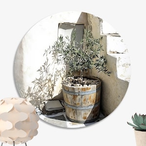 Op de afbeelding: Een kleine olijfboom in een houten tonnenpot staat tegen een witgekalkte muur met een raam. De boom werpt een schaduw op de muur.
