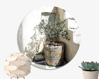 Wall circle for hanging | Small olive tree in wooden pot | Round artwork on the wall