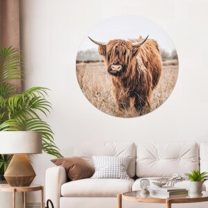 May include: A brown Highland cow with long, shaggy hair stands in a field of tall grass. The cow is looking to the side, and its horns are visible.