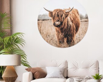 May include: A brown Highland cow with long, shaggy hair stands in a field of tall grass. The cow is looking to the side, and its horns are visible.