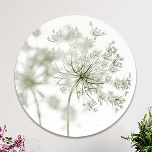 Cerchio da parete per appendere | Una bella composizione floreale con un fiore bianco (Orlaya grandiflora) | Opere d'arte rotonde sul muro