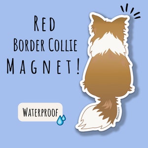 Red Border Collie Magnet Border Collie Car Magnet Border Collie Gift For Dog Lover Car Sticker Border Collie Car Decal Gold Border Collie